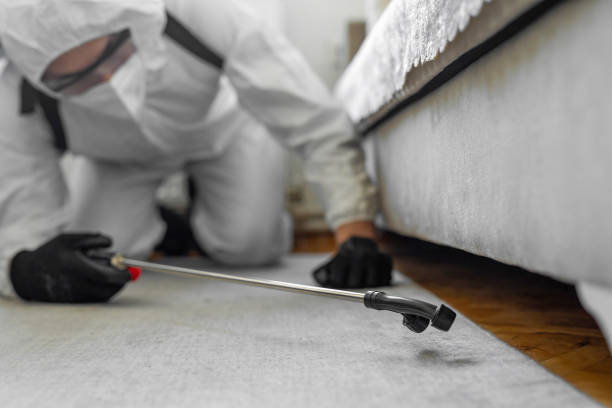 Professional Termite Control technician working in Eden, NC