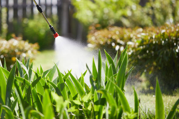 24/7 Emergency Termite Control experts in Eden, NC
