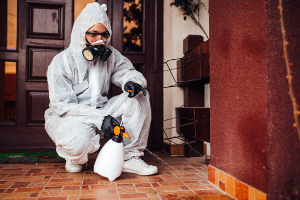 Reliable Termite Control contractor in Eden, NC by Nex Pest Control