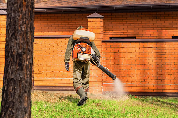 Top rated local Termite Control specialists in Eden, NC